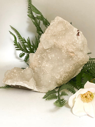 Apophyllite cluster on white background