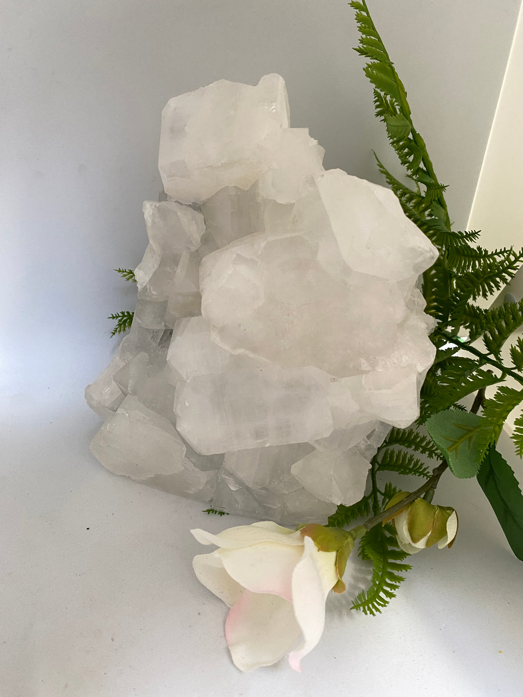 Apophyllite cluster on white background