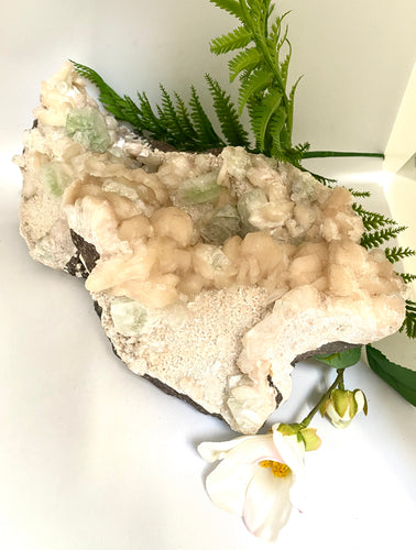 Apophyllite cluster on white background