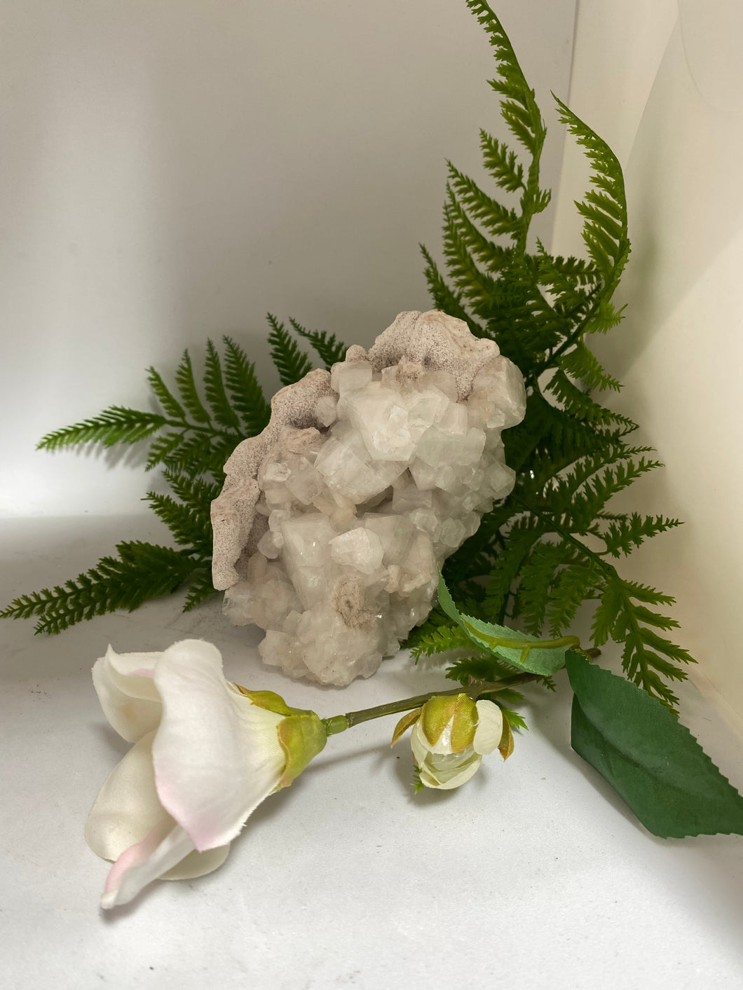 Apophyllite cluster on white background