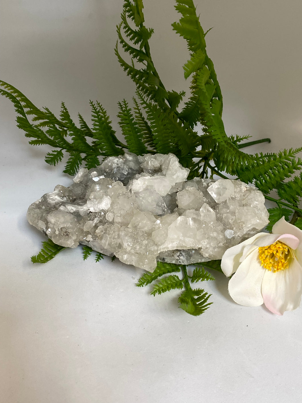 Apophyllite cluster on white background