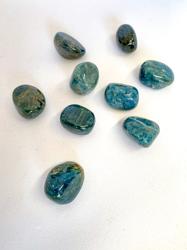 Blue Apatite Tumble Stones on White Background