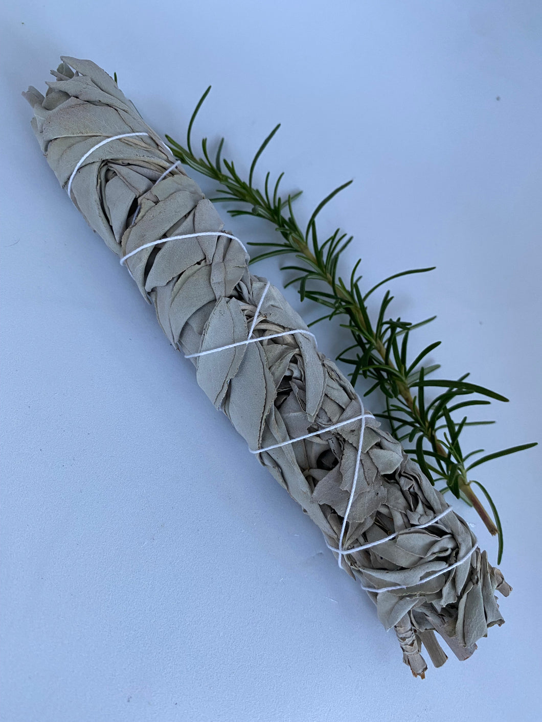 White Sage cleansing wand on white background